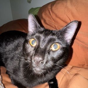 Meet your Posher, Ethan